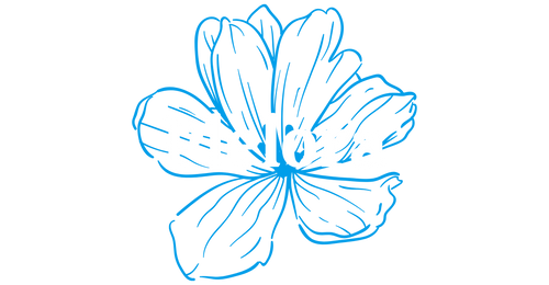 Plelora